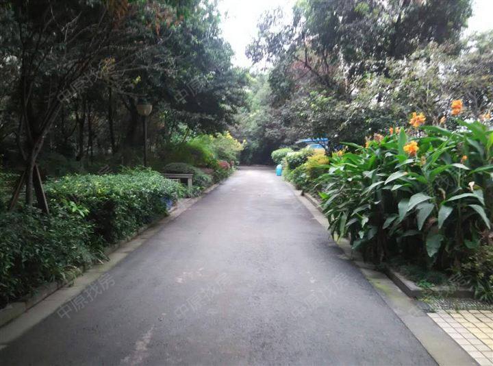 全部二手房 金牛 迎宾大道 泰逸美景