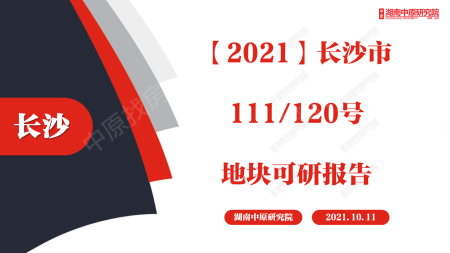 第二批集中供地可研报告—青竹湖【2021】长沙市111号120号地块可研