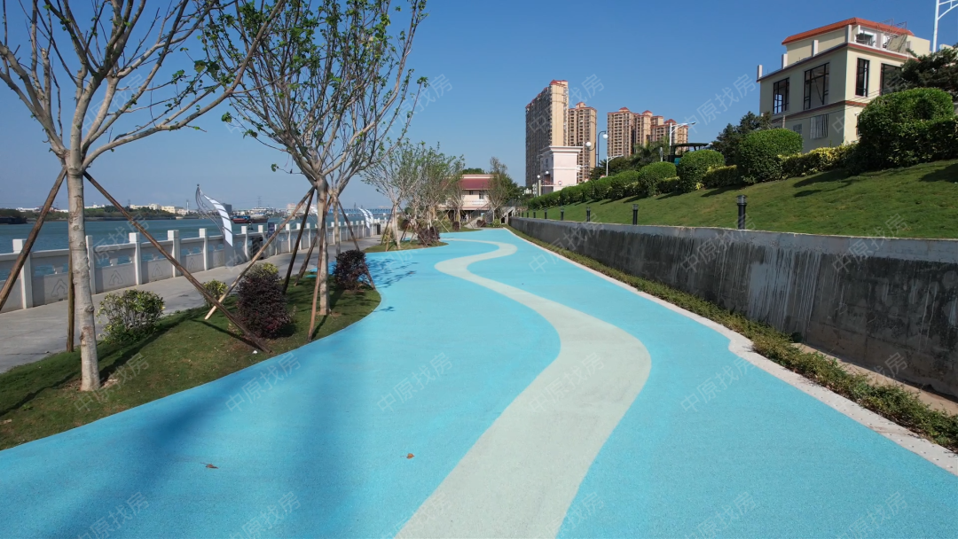 中山这条沿江绿道投入使用